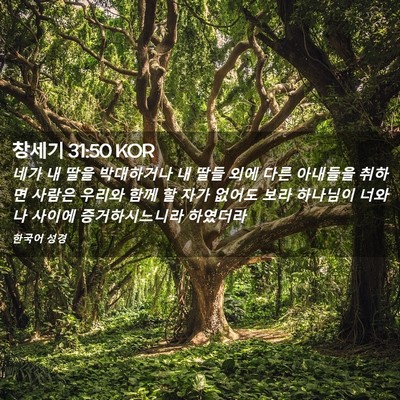 Picture 02 - 창세기 31:50 KOR - 네가 내 딸을 박대하거나 내 딸들 - Bible Verse Picture