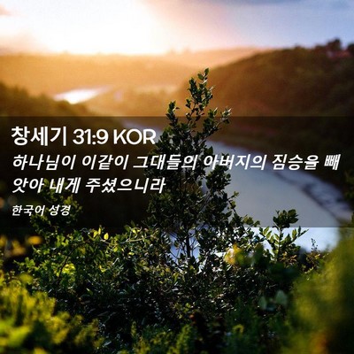 Picture 02 - 창세기 31:9 KOR - 하나님이 이같이 그대들의 아버지의 - Bible Verse Picture