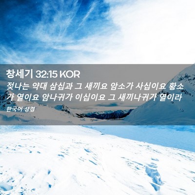 Picture 02 - 창세기 32:15 KOR - 젖나는 약대 삼십과 그 새끼요 - Bible Verse Picture