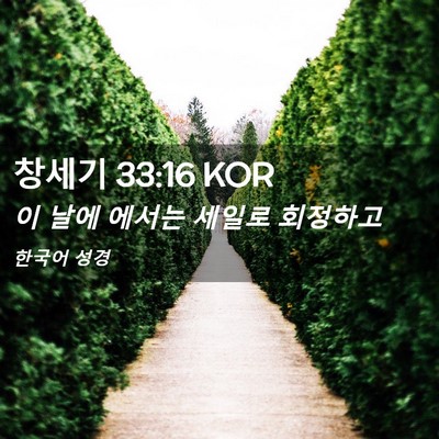 Picture 02 - 창세기 33:16 KOR - 이 날에 에서는 세일로 - Bible Verse Picture