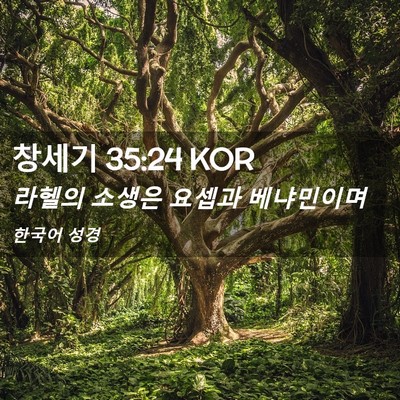 Picture 02 - 창세기 35:24 KOR - 라헬의 소생은 요셉과 - Bible Verse Picture