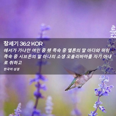 Picture 02 - 창세기 36:2 KOR - 에서가 가나안 여인 중 헷 족속 중 - Bible Verse Picture