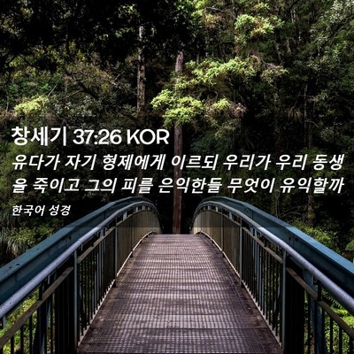 Picture 02 - 창세기 37:26 KOR - 유다가 자기 형제에게 이르되 우리가 - Bible Verse Picture