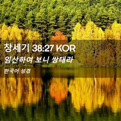 Picture 02 - 창세기 38:27 KOR - 임산하여 보니 - Bible Verse Picture