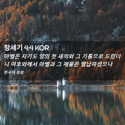 Picture 02 - 창세기 4:4 KOR - 아벨은 자기도 양의 첫 새끼와 그 - Bible Verse Picture