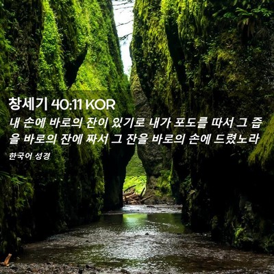 Picture 02 - 창세기 40:11 KOR - 내 손에 바로의 잔이 있기로 내가 - Bible Verse Picture