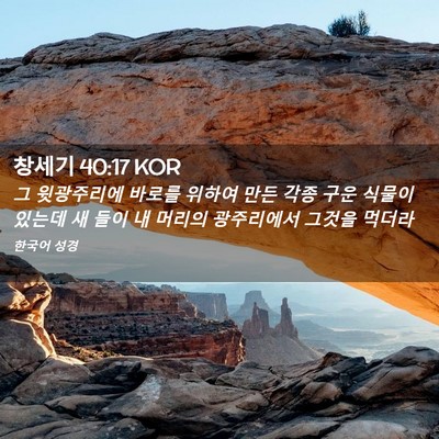 Picture 02 - 창세기 40:17 KOR - 그 윗광주리에 바로를 위하여 만든 - Bible Verse Picture