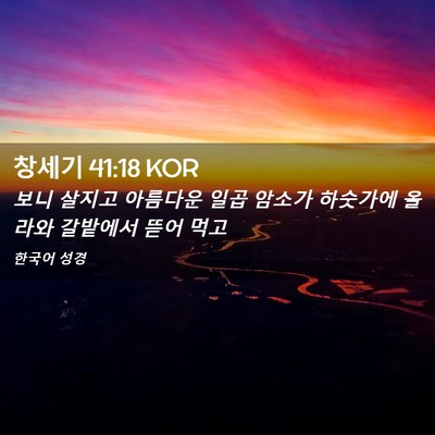 Picture 02 - 창세기 41:18 KOR - 보니 살지고 아름다운 일곱 암소가 - Bible Verse Picture