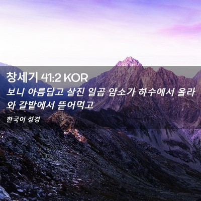 Picture 02 - 창세기 41:2 KOR - 보니 아름답고 살진 일곱 암소가 - Bible Verse Picture