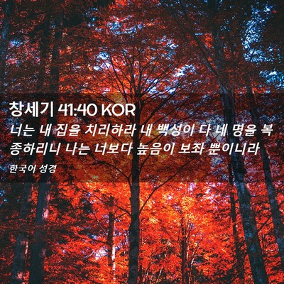 Picture 02 - 창세기 41:40 KOR - 너는 내 집을 치리하라 내 백성이 다 - Bible Verse Picture