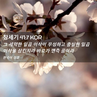 Picture 02 - 창세기 41:7 KOR - 그 세약한 일곱 이삭이 무성하고 - Bible Verse Picture