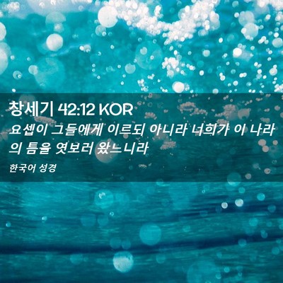 Picture 02 - 창세기 42:12 KOR - 요셉이 그들에게 이르되 아니라 - Bible Verse Picture