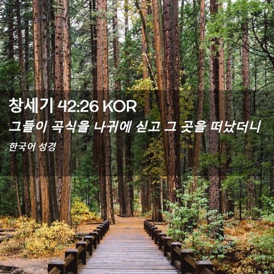Picture 02 - 창세기 42:26 KOR - 그들이 곡식을 나귀에 싣고 그 곳을 - Bible Verse Picture