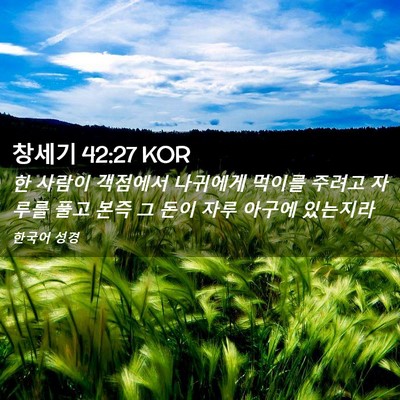 Picture 02 - 창세기 42:27 KOR - 한 사람이 객점에서 나귀에게 먹이를 - Bible Verse Picture