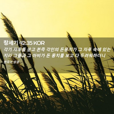 Picture 02 - 창세기 42:35 KOR - 각기 자루를 쏟고 본즉 각인의 - Bible Verse Picture