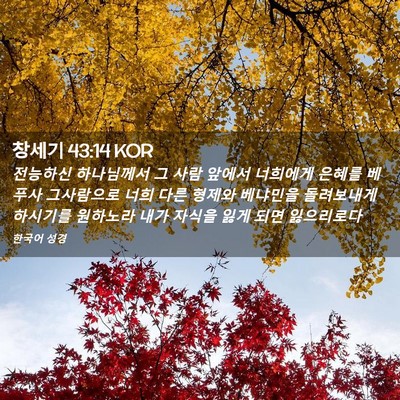 Picture 02 - 창세기 43:14 KOR - 전능하신 하나님께서 그 사람 앞에서 - Bible Verse Picture
