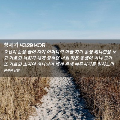 Picture 02 - 창세기 43:29 KOR - 요셉이 눈을 들어 자기 어머니의 - Bible Verse Picture
