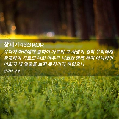 Picture 02 - 창세기 43:3 KOR - 유다가 아비에게 말하여 가로되 그 - Bible Verse Picture