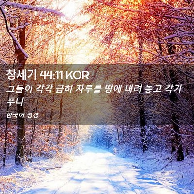 Picture 02 - 창세기 44:11 KOR - 그들이 각각 급히 자루를 땅에 내려 - Bible Verse Picture
