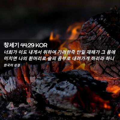Picture 02 - 창세기 44:29 KOR - 너희가 이도 내게서 취하여 가려한즉 - Bible Verse Picture