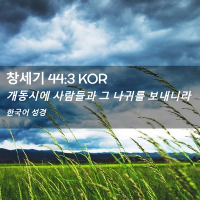 Picture 02 - 창세기 44:3 KOR - 개동시에 사람들과 그 나귀를 - Bible Verse Picture
