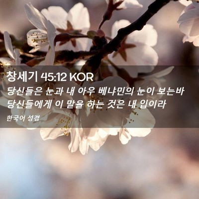 Picture 02 - 창세기 45:12 KOR - 당신들은 눈과 내 아우 베냐민의 - Bible Verse Picture