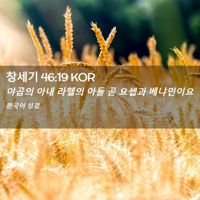 Picture 02 - 창세기 46:19 KOR - 야곱의 아내 라헬의 아들 곧 요셉과 - Bible Verse Picture
