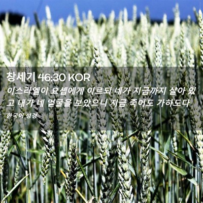 Picture 02 - 창세기 46:30 KOR - 이스라엘이 요셉에게 이르되 네가 - Bible Verse Picture