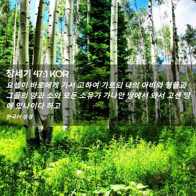 Picture 02 - 창세기 47:1 KOR - 요셉이 바로에게 가서 고하여 가로되 - Bible Verse Picture