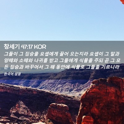 Picture 02 - 창세기 47:17 KOR - 그들이 그 짐승을 요셉에게 끌어 - Bible Verse Picture
