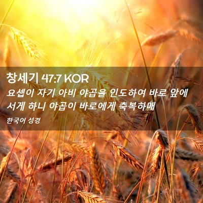 Picture 02 - 창세기 47:7 KOR - 요셉이 자기 아비 야곱을 인도하여 - Bible Verse Picture