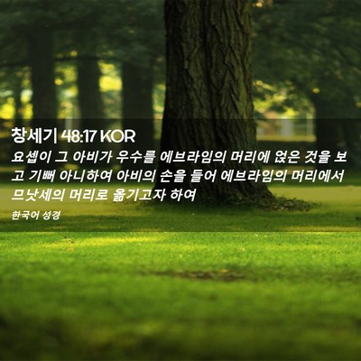 Picture 02 - 창세기 48:17 KOR - 요셉이 그 아비가 우수를 에브라임의 - Bible Verse Picture