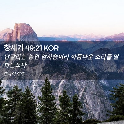 Picture 02 - 창세기 49:21 KOR - 납달리는 놓인 암사슴이라 아름다운 - Bible Verse Picture