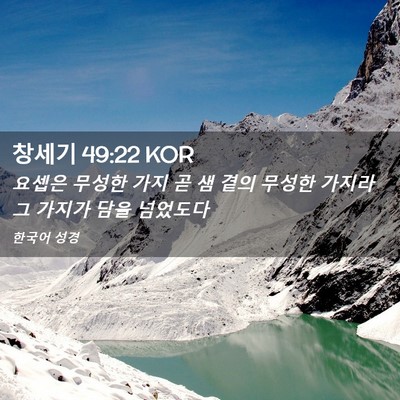 Picture 02 - 창세기 49:22 KOR - 요셉은 무성한 가지 곧 샘 곁의 - Bible Verse Picture