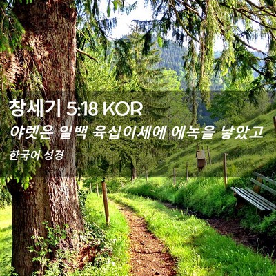 Picture 02 - 창세기 5:18 KOR - 야렛은 일백 육십이세에 에녹을 - Bible Verse Picture