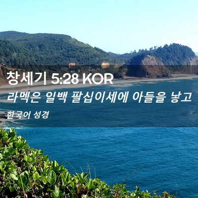 Picture 02 - 창세기 5:28 KOR - 라멕은 일백 팔십이세에 아들을 - Bible Verse Picture