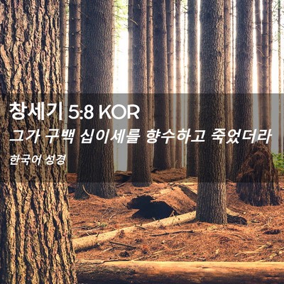 Picture 02 - 창세기 5:8 KOR - 그가 구백 십이세를 향수하고 - Bible Verse Picture