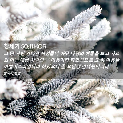 Picture 02 - 창세기 50:11 KOR - 그 땅 거민 가나안 백성들이 아닷 - Bible Verse Picture