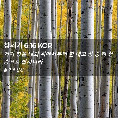 Picture 02 - 창세기 6:16 KOR - 거기 창을 내되 위에서부터 한 내고 - Bible Verse Picture
