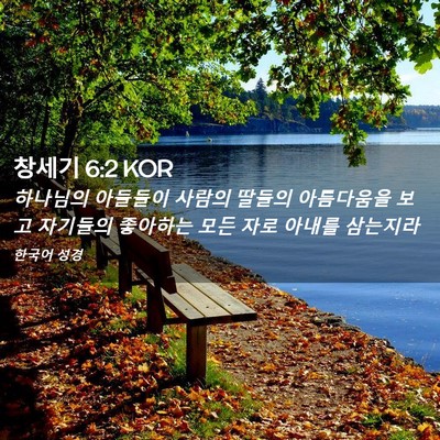 Picture 02 - 창세기 6:2 KOR - 하나님의 아들들이 사람의 딸들의 - Bible Verse Picture