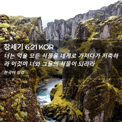 Picture 02 - 창세기 6:21 KOR - 너는 먹을 모든 식물을 네게로 - Bible Verse Picture