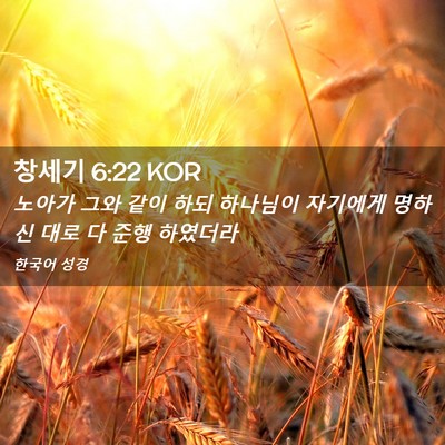 Picture 02 - 창세기 6:22 KOR - 노아가 그와 같이 하되 하나님이 - Bible Verse Picture