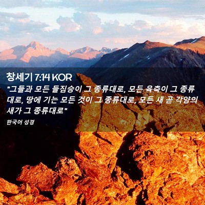 Picture 02 - 창세기 7:14 KOR - 