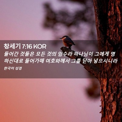 Picture 02 - 창세기 7:16 KOR - 들어간 것들은 모든 것의 암수라 - Bible Verse Picture