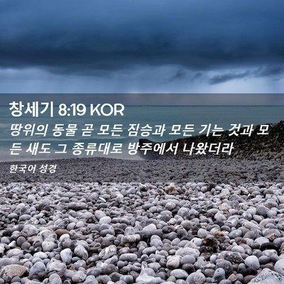 Picture 02 - 창세기 8:19 KOR - 땅위의 동물 곧 모든 짐승과 모든 - Bible Verse Picture