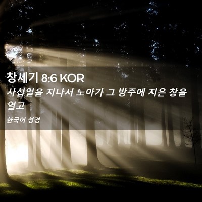 Picture 02 - 창세기 8:6 KOR - 사십일을 지나서 노아가 그 방주에 - Bible Verse Picture