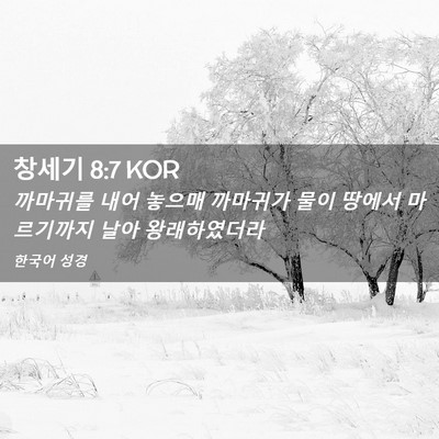 Picture 02 - 창세기 8:7 KOR - 까마귀를 내어 놓으매 까마귀가 물이 - Bible Verse Picture