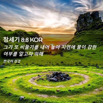 Picture 02 - 창세기 8:8 KOR - 그가 또 비둘기를 내어 놓아 지면에 - Bible Verse Picture