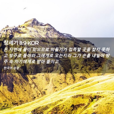 Picture 02 - 창세기 8:9 KOR - 온 지면에 물이 있으므로 비둘기가 - Bible Verse Picture