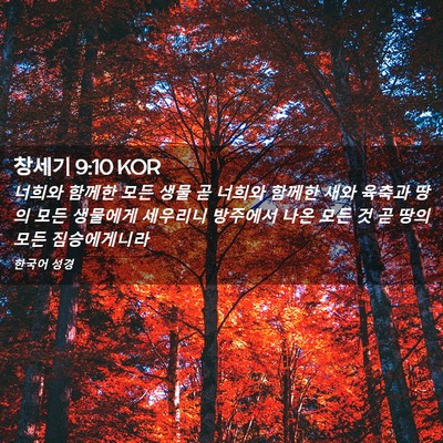 Picture 02 - 창세기 9:10 KOR - 너희와 함께한 모든 생물 곧 너희와 - Bible Verse Picture